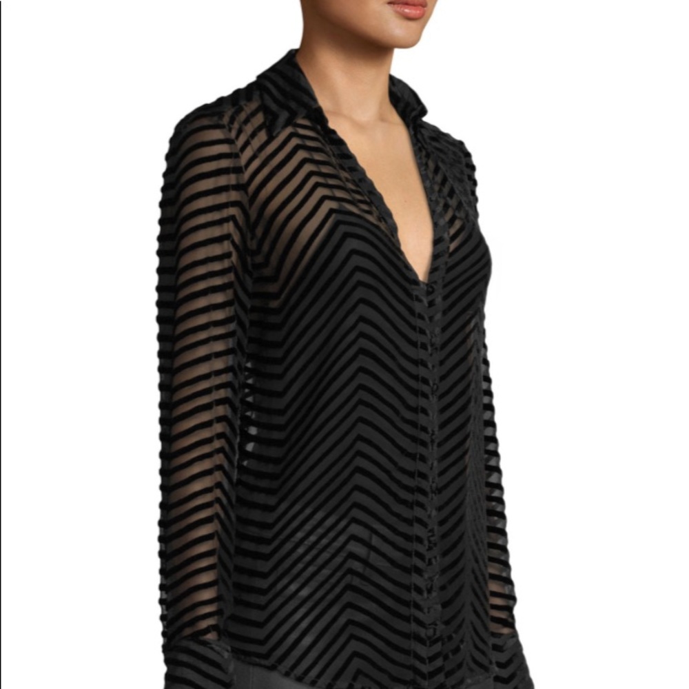 Paige Toscani Velvet-Stripe Sheer Button-Front Top